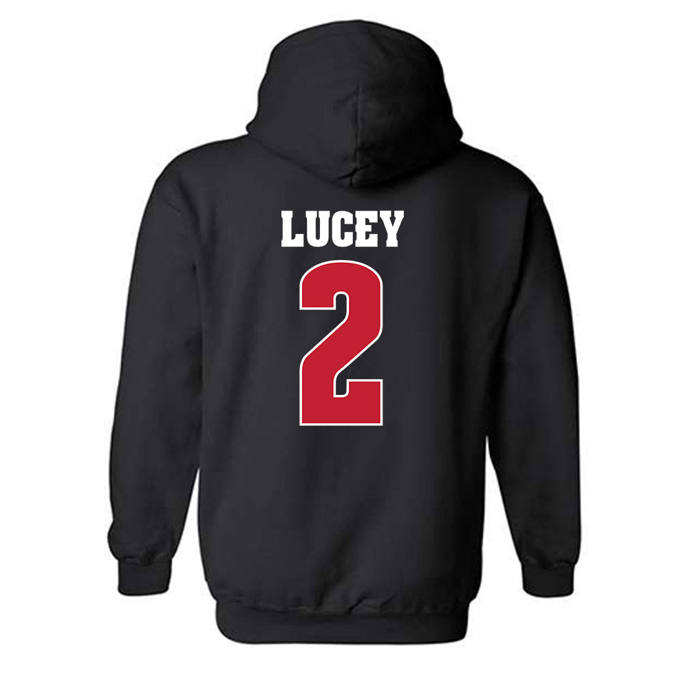 Wisconsin - NCAA Softball : Danielle Lucey - Classic Shersey Hooded Sweatshirt-1