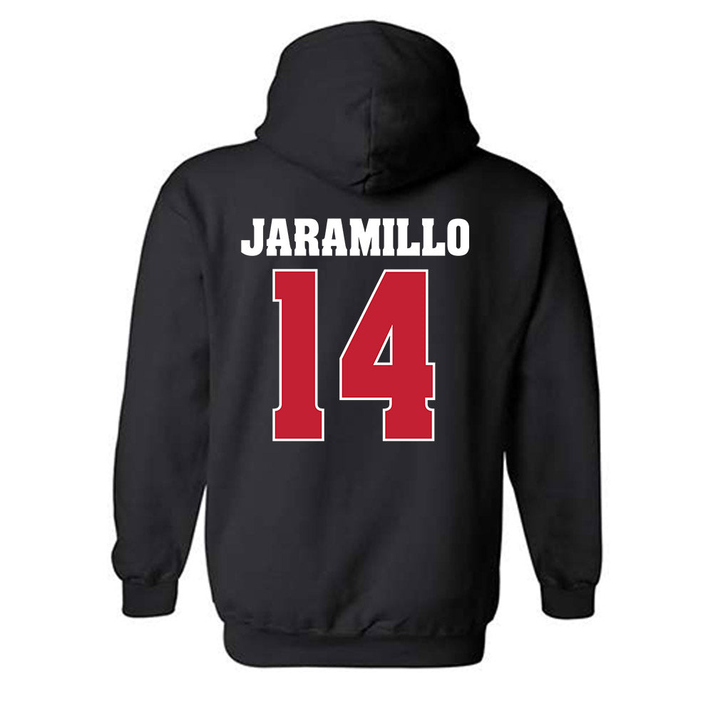 Wisconsin - NCAA Women's Basketball : Reese Jaramillo - Classic Shersey Hooded Sweatshirt-1