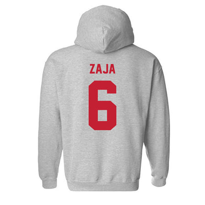 Wisconsin - NCAA Women's Basketball : Dorja Iva Zaja - Classic Shersey Hooded Sweatshirt-1