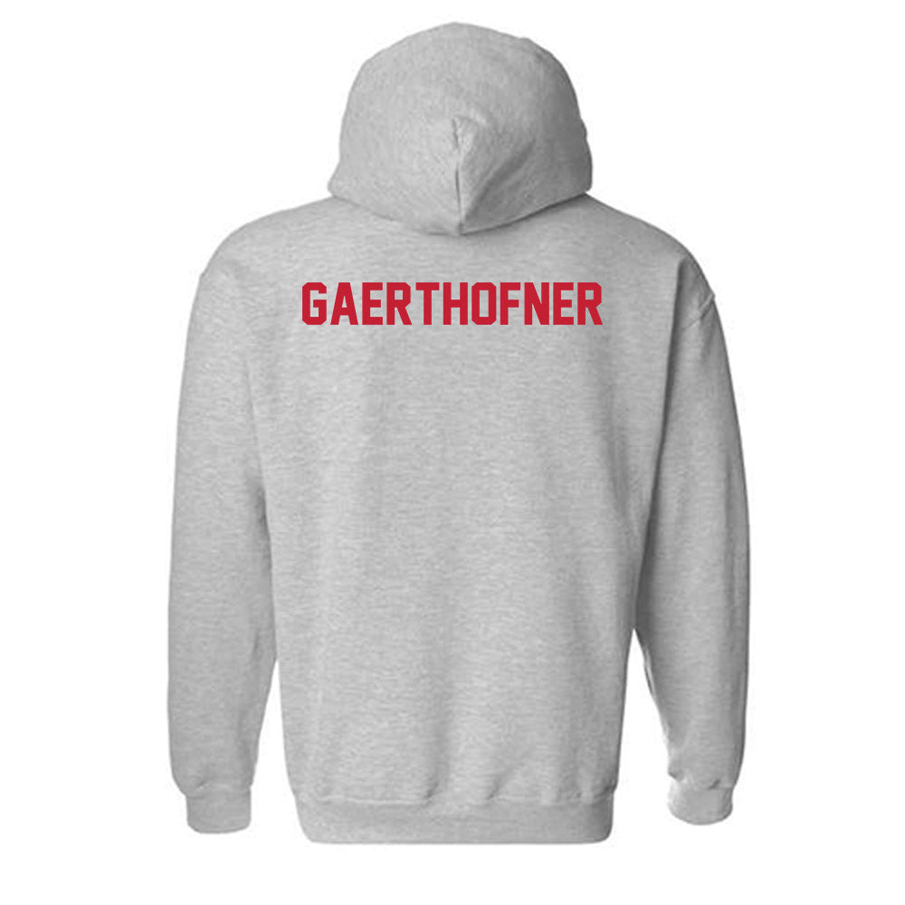 Wisconsin - NCAA Men's Swimming & Diving : Drew Gaerthofner - Classic Shersey Hooded Sweatshirt-1