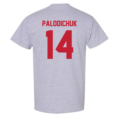 Wisconsin - NCAA Men's Ice Hockey : Joe Palodichuk - Classic Shersey T-Shirt-1