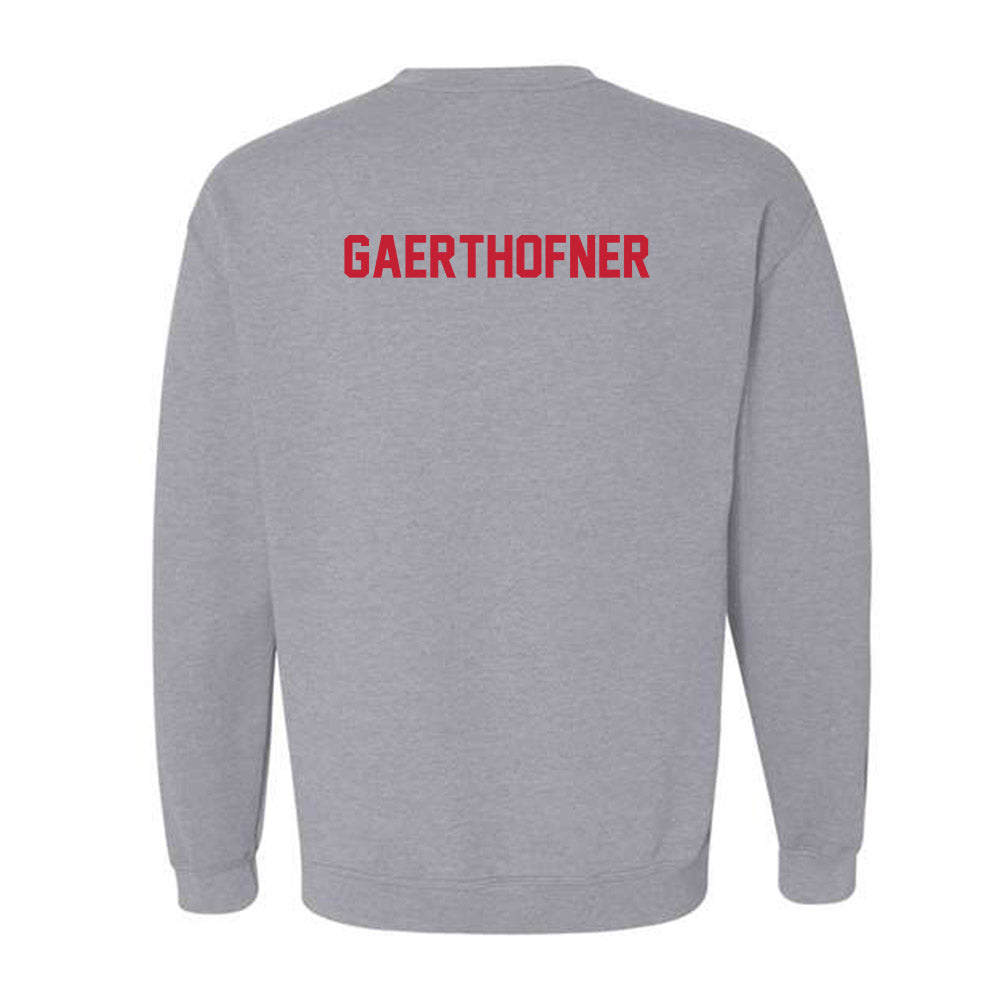 Wisconsin - NCAA Men's Swimming & Diving : Drew Gaerthofner - Classic Shersey Crewneck Sweatshirt-1