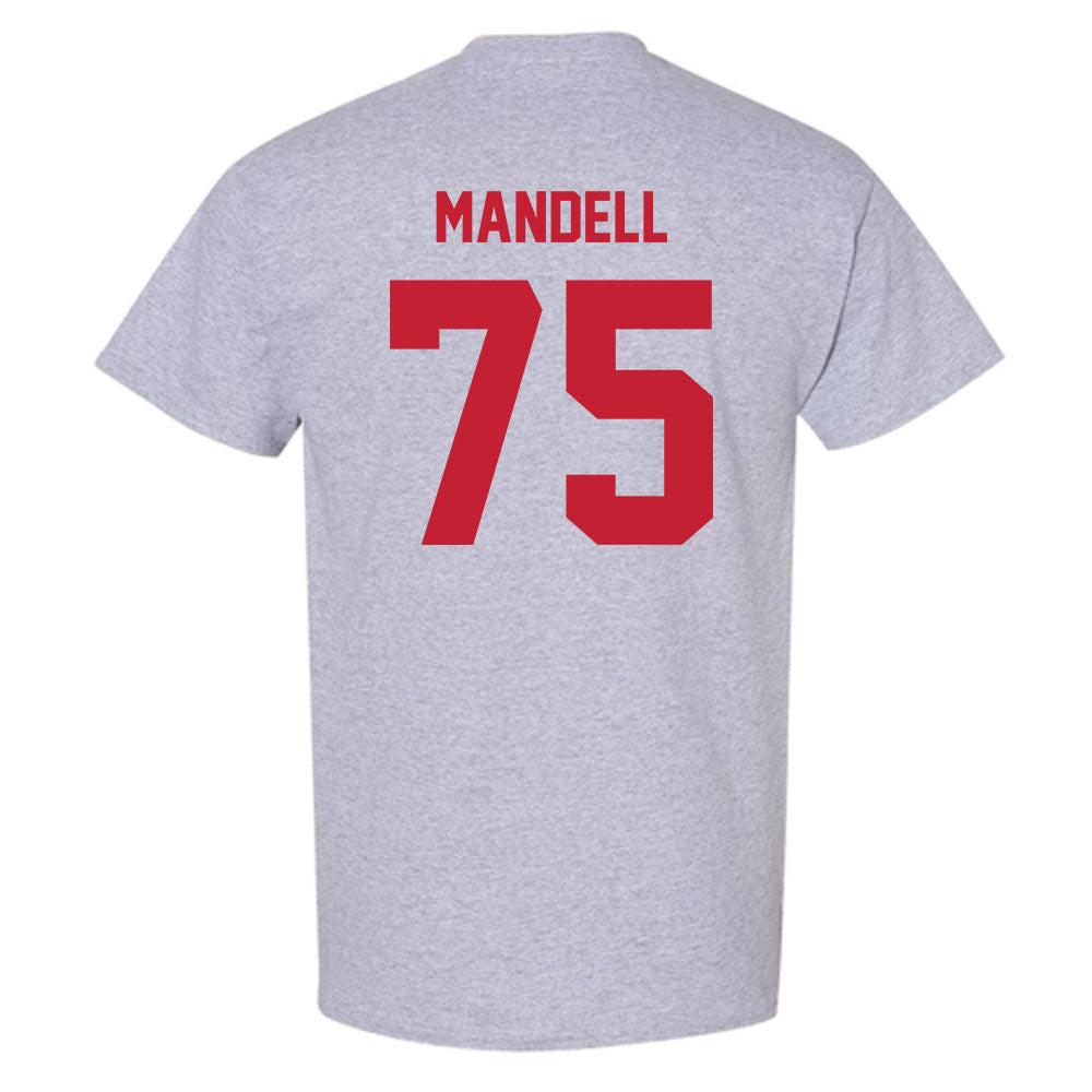 Wisconsin - NCAA Football : Emerson Mandell - Classic Shersey T-Shirt-1