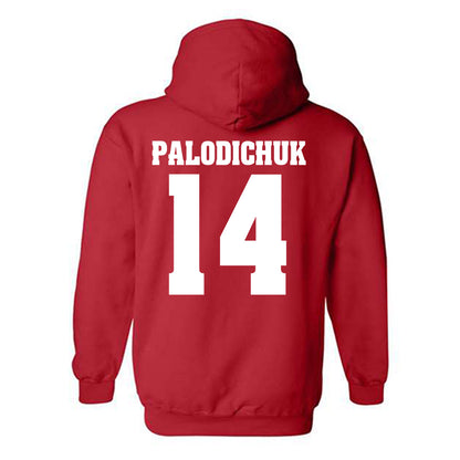 Wisconsin - NCAA Men's Ice Hockey : Joe Palodichuk - Classic Shersey Hooded Sweatshirt-1
