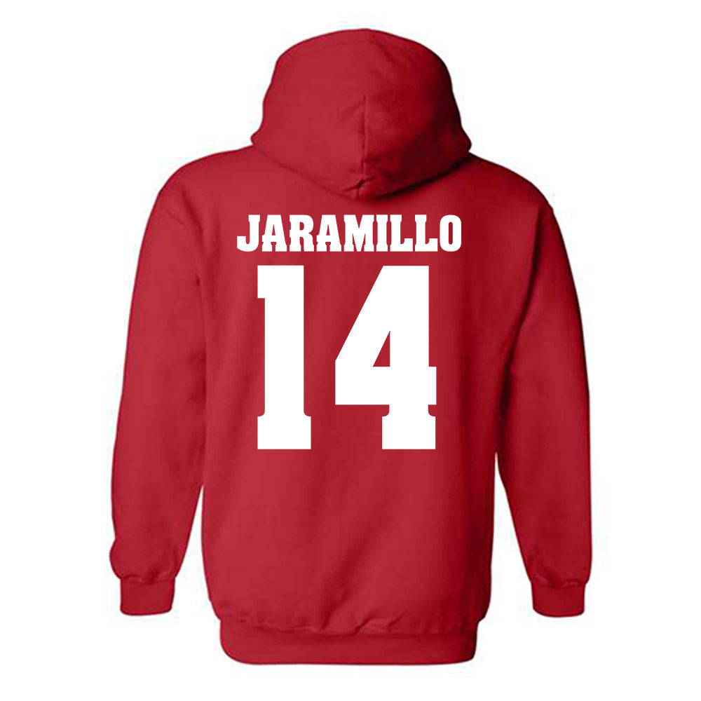 Wisconsin - NCAA Women's Basketball : Reese Jaramillo - Classic Shersey Hooded Sweatshirt-1