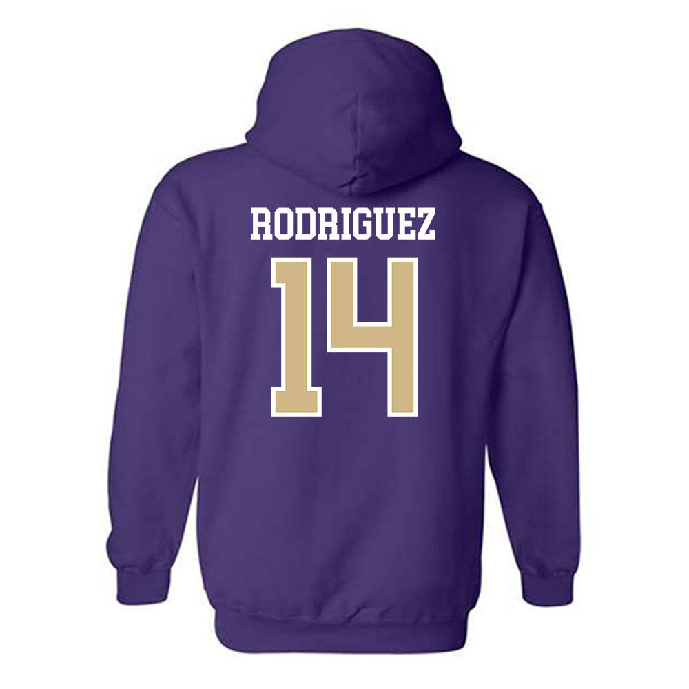 Washington - NCAA Softball : Amira Rodriguez - Sports Shersey Hooded Sweatshirt-1