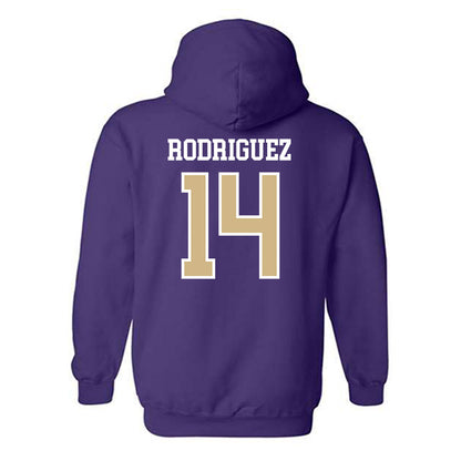 Washington - NCAA Softball : Amira Rodriguez - Sports Shersey Hooded Sweatshirt-1