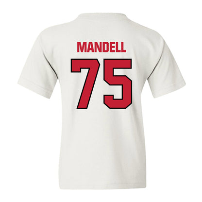 Wisconsin - NCAA Football : Emerson Mandell - Sports Shersey Youth T-Shirt-1