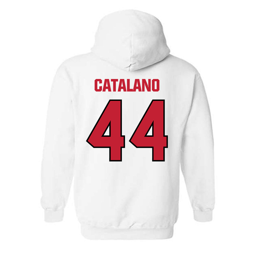 Wisconsin - NCAA Football : Cooper Catalano - Sports Shersey Hooded Sweatshirt-1