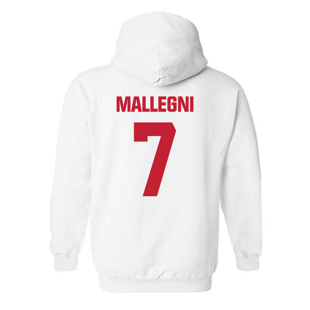 Wisconsin - NCAA Women's Basketball : Teagan Mallegni - Sports Shersey Hooded Sweatshirt-1