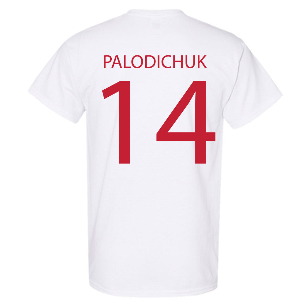 Wisconsin - NCAA Men's Ice Hockey : Joe Palodichuk - Sports Shersey T-Shirt-1