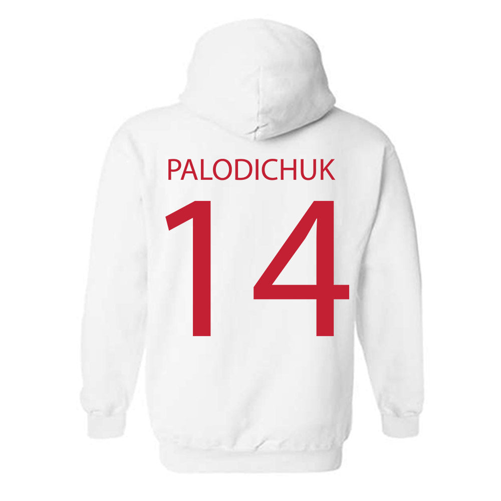 Wisconsin - NCAA Men's Ice Hockey : Joe Palodichuk - Sports Shersey Hooded Sweatshirt-1