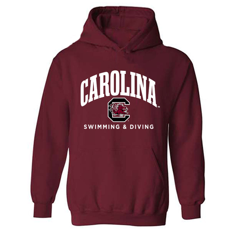 South Carolina - NCAA Men's Swimming & Diving : Kayden Richards - Classic Shersey Hooded Sweatshirt-0