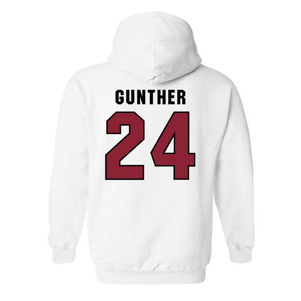 South Carolina - NCAA Baseball : Josh Gunther - Classic Shersey Hooded Sweatshirt-1