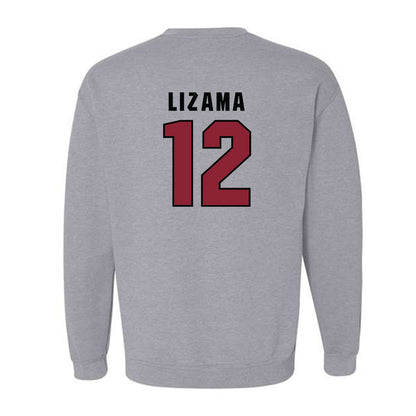 South Carolina - NCAA Baseball : Ethan Lizama - Classic Shersey Crewneck Sweatshirt-1