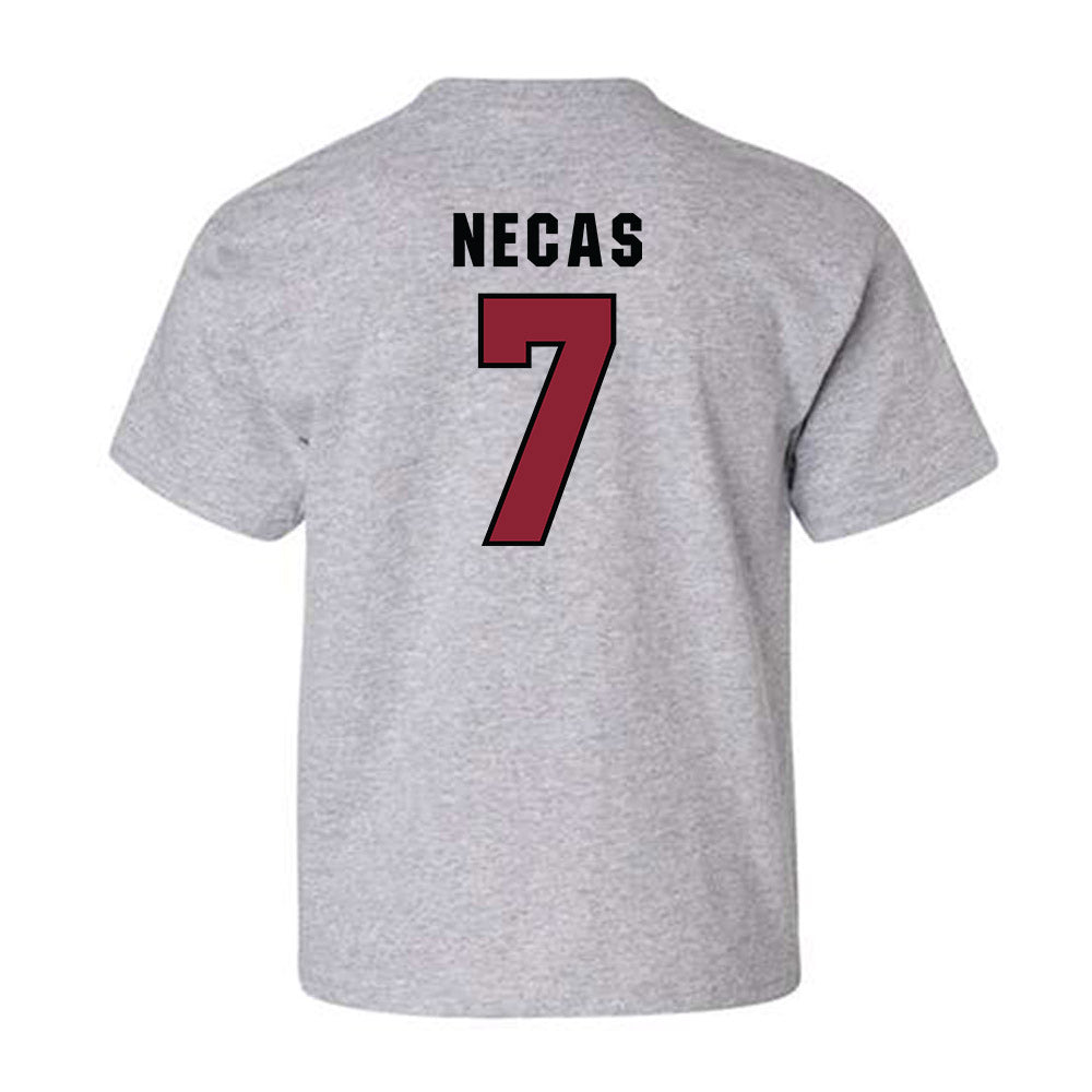 South Carolina - NCAA Men's Basketball : Jakub Necas - Classic Shersey Youth T-Shirt-1