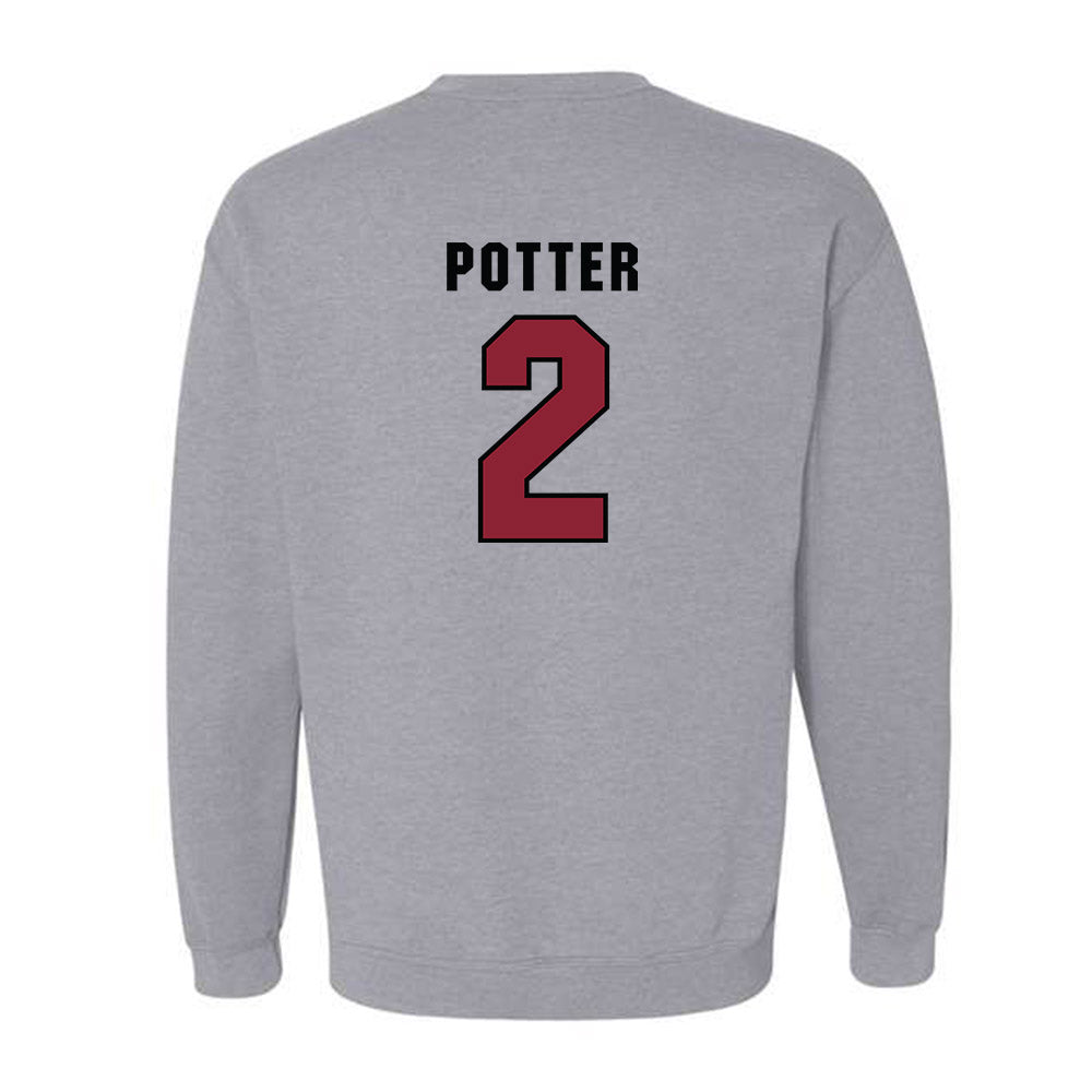 South Carolina - NCAA Softball : Dakota Potter - Classic Shersey Crewneck Sweatshirt-1