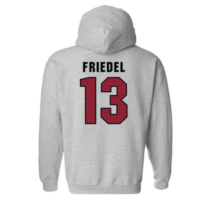 South Carolina - NCAA Softball : Emma Friedel - Classic Shersey Hooded Sweatshirt-1