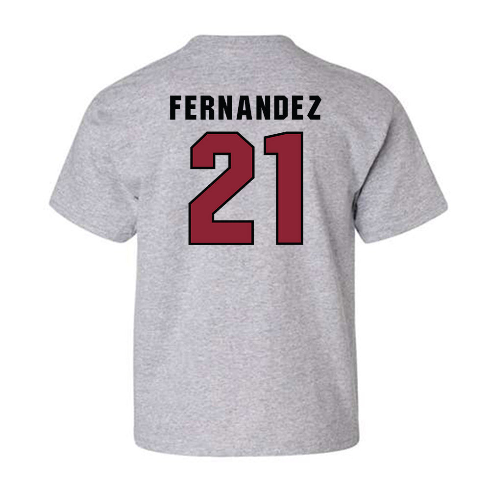 South Carolina - NCAA Men's Basketball : Juan Fernandez - Classic Shersey Youth T-Shirt-1