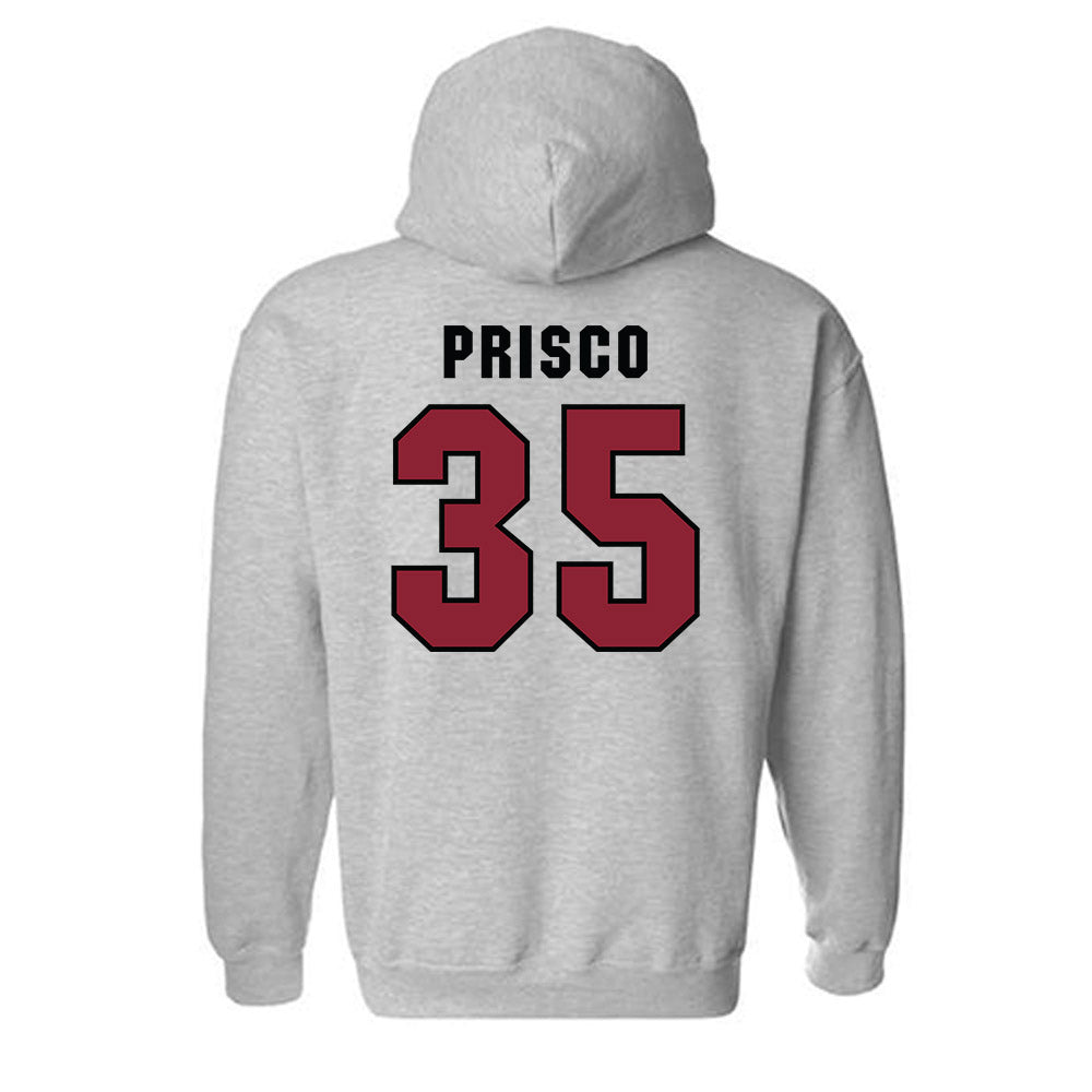 South Carolina - NCAA Baseball : Logan Prisco - Classic Shersey Hooded Sweatshirt-1