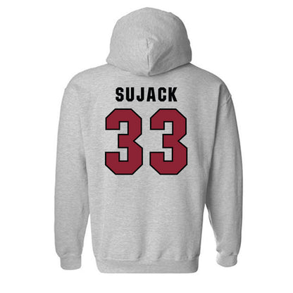South Carolina - NCAA Softball : Hayden Sujack - Classic Shersey Hooded Sweatshirt-1