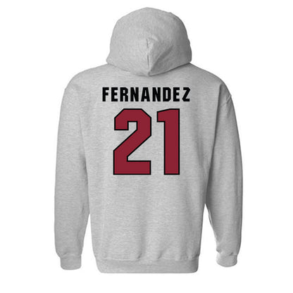 South Carolina - NCAA Men's Basketball : Juan Fernandez - Classic Shersey Hooded Sweatshirt-1