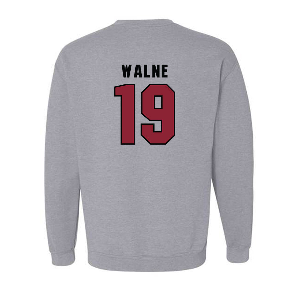 South Carolina - NCAA Women's Soccer : Emily Walne - Classic Shersey Crewneck Sweatshirt-1