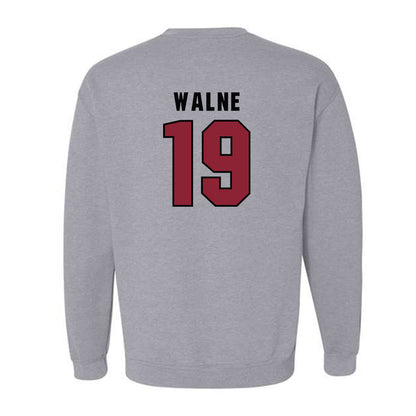 South Carolina - NCAA Women's Soccer : Emily Walne - Classic Shersey Crewneck Sweatshirt-1