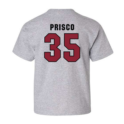 South Carolina - NCAA Baseball : Logan Prisco - Classic Shersey Youth T-Shirt-1