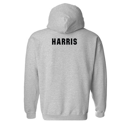 South Carolina - NCAA Women's Track & Field : Tristen Harris - Classic Shersey Hooded Sweatshirt-1