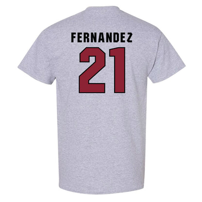 South Carolina - NCAA Men's Basketball : Juan Fernandez - Classic Shersey T-Shirt-1