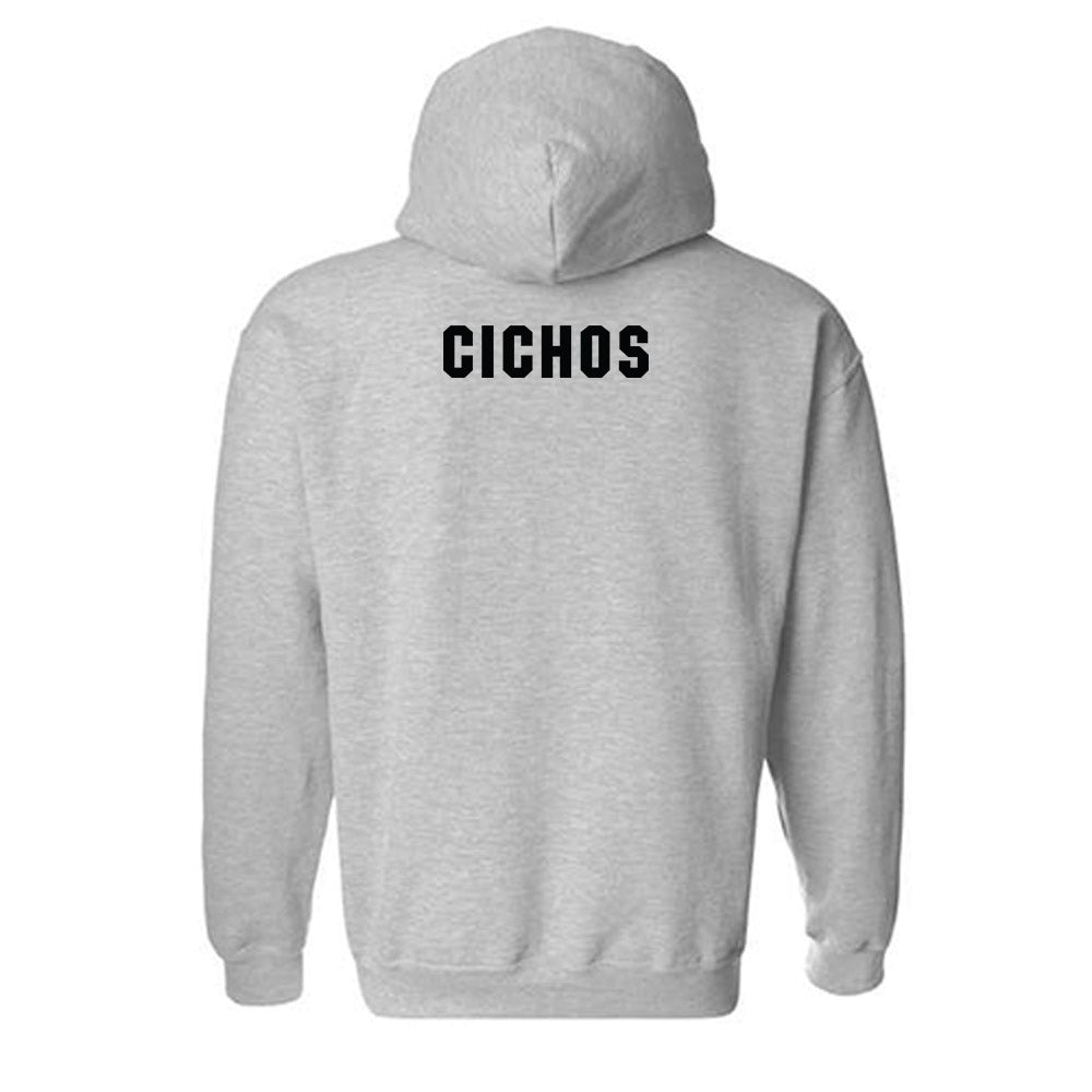 South Carolina - NCAA Equestrian : Samantha Cichos - Classic Shersey Hooded Sweatshirt-1