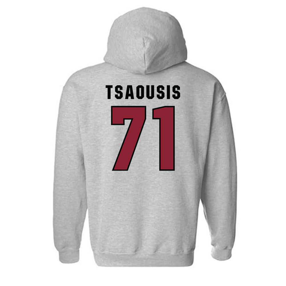 South Carolina - NCAA Women's Soccer : Christina Tsaousis - Classic Shersey Hooded Sweatshirt-1