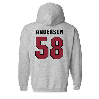 South Carolina - NCAA Football : Markee Anderson - Classic Shersey Hooded Sweatshirt-1