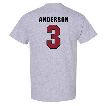South Carolina - NCAA Softball : Shae Anderson - Classic Shersey T-Shirt-1