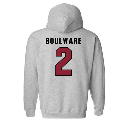 South Carolina - NCAA Softball : Aspen Boulware - Classic Shersey Hooded Sweatshirt-1