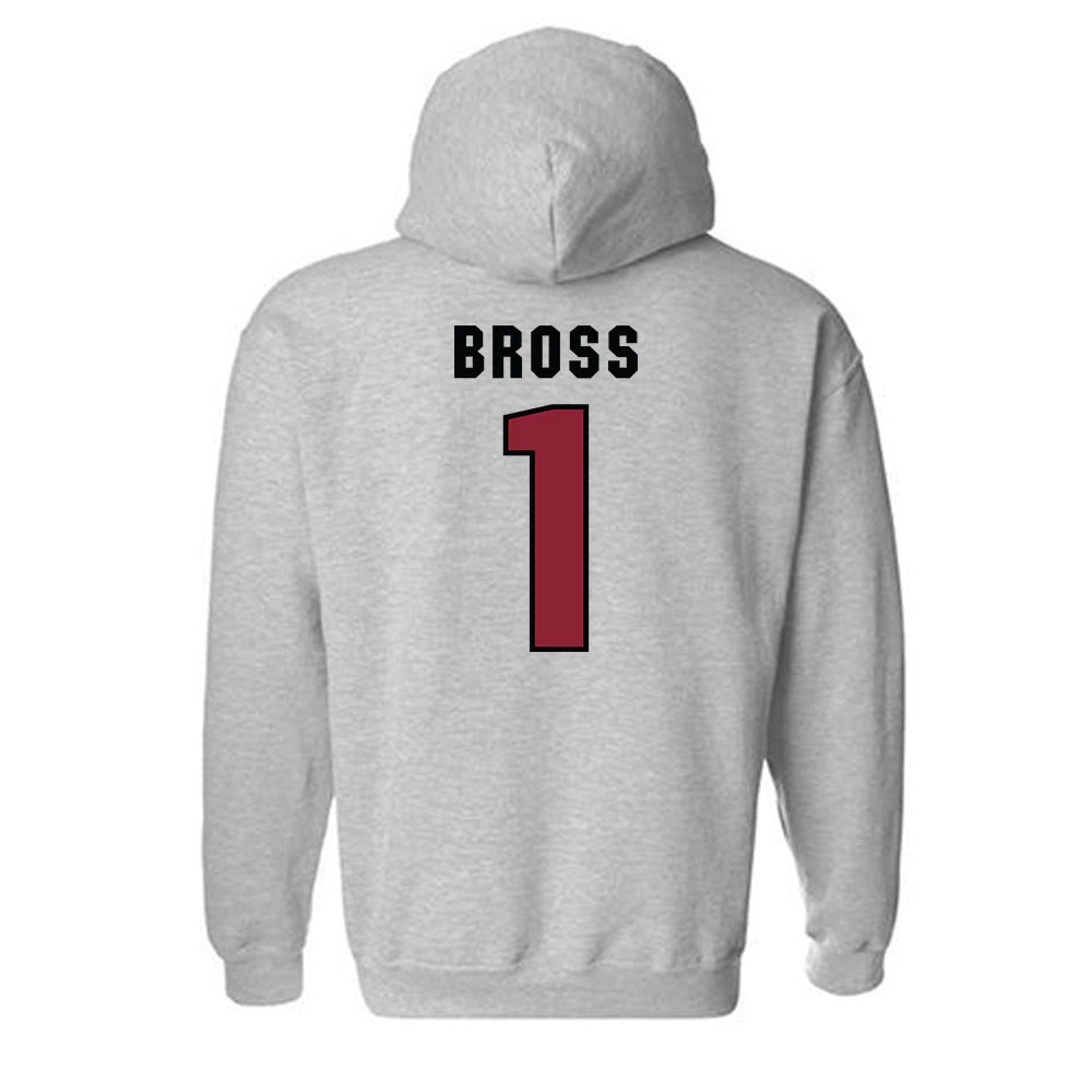 South Carolina - NCAA Softball : Precious Bross - Classic Shersey Hooded Sweatshirt-1