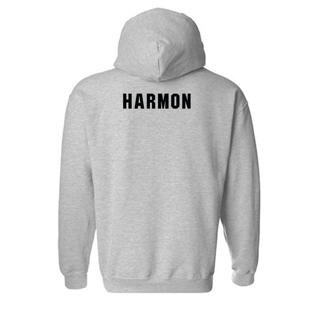 South Carolina - NCAA Men's Swimming & Diving : Owen Harmon - Classic Shersey Hooded Sweatshirt-1