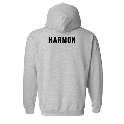 South Carolina - NCAA Men's Swimming & Diving : Owen Harmon - Classic Shersey Hooded Sweatshirt-1