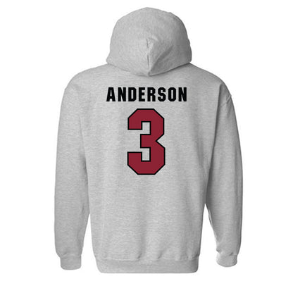 South Carolina - NCAA Softball : Shae Anderson - Classic Shersey Hooded Sweatshirt-1