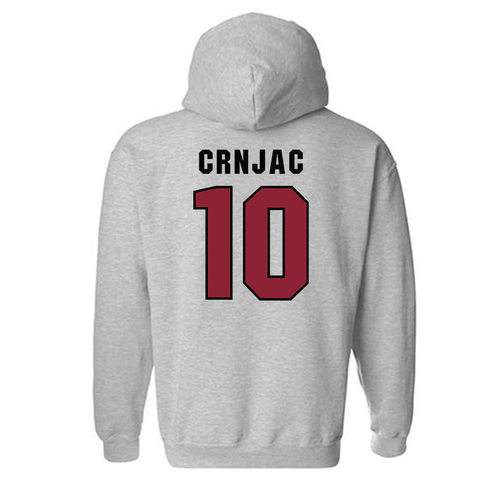 South Carolina - NCAA Women's Volleyball : Madi Crnjac - Classic Shersey Hooded Sweatshirt-1