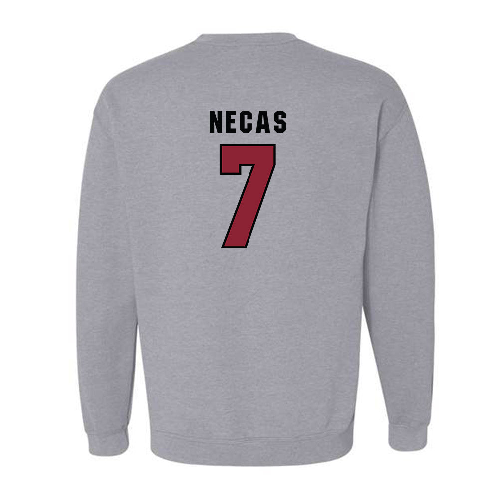 South Carolina - NCAA Men's Basketball : Jakub Necas - Classic Shersey Crewneck Sweatshirt-1