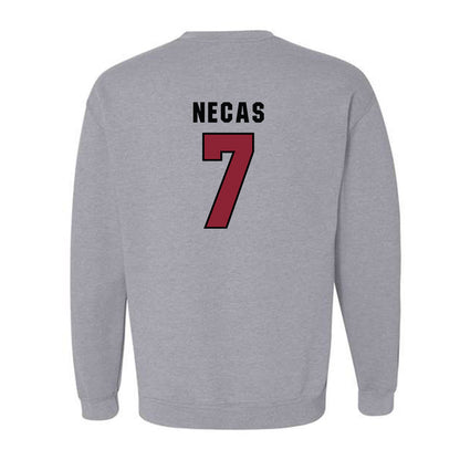 South Carolina - NCAA Men's Basketball : Jakub Necas - Classic Shersey Crewneck Sweatshirt-1