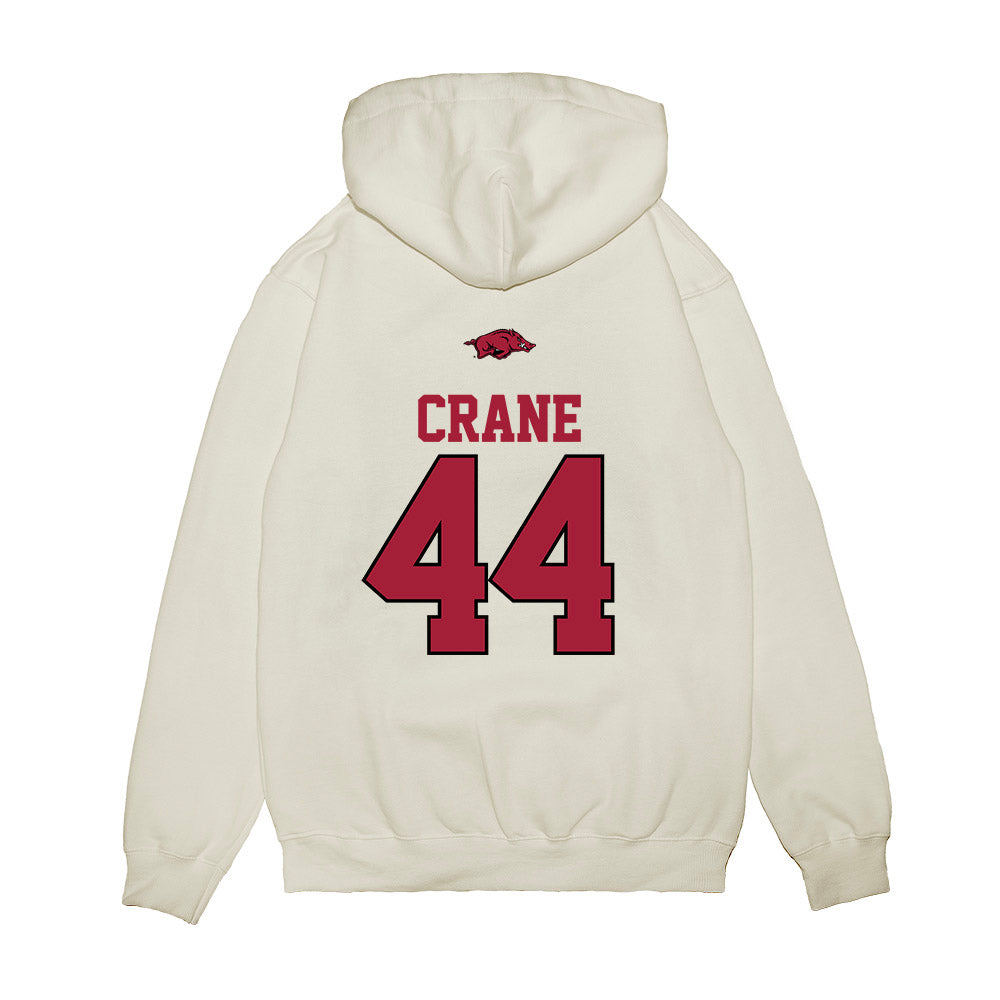 Arkansas - NCAA Baseball : Brody Crane - USA Premium Hooded Sweatshirt-1