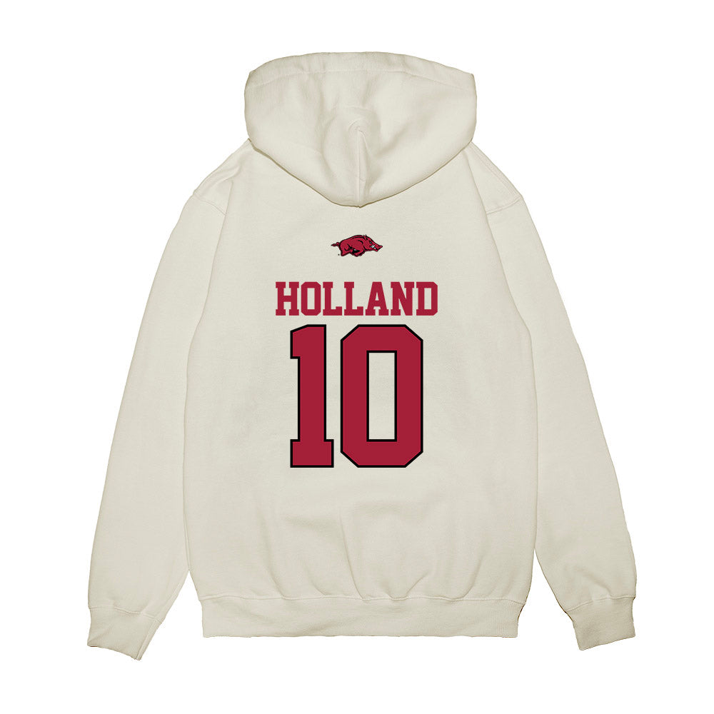 Arkansas - NCAA Baseball : Tyler Holland - USA Premium Hooded Sweatshirt-1