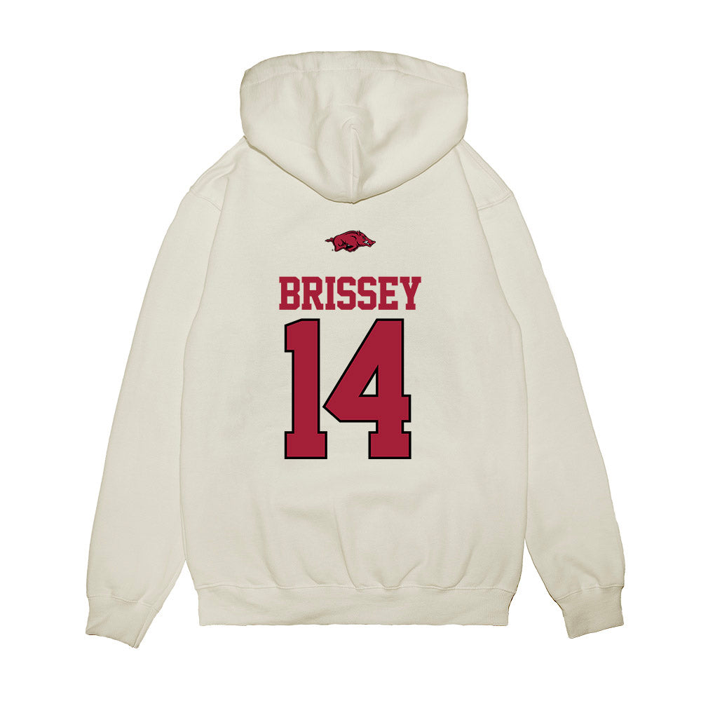 Arkansas - NCAA Baseball : Mark Brissey - USA Premium Hooded Sweatshirt-1
