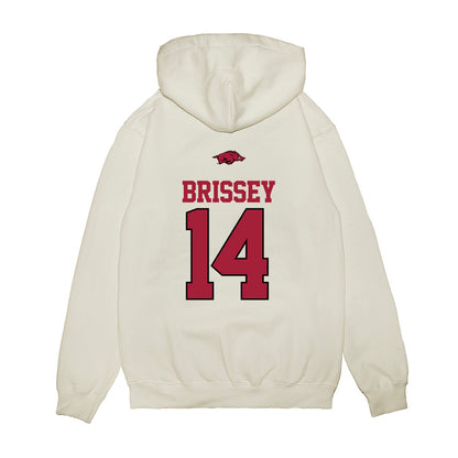 Arkansas - NCAA Baseball : Mark Brissey - USA Premium Hooded Sweatshirt-1