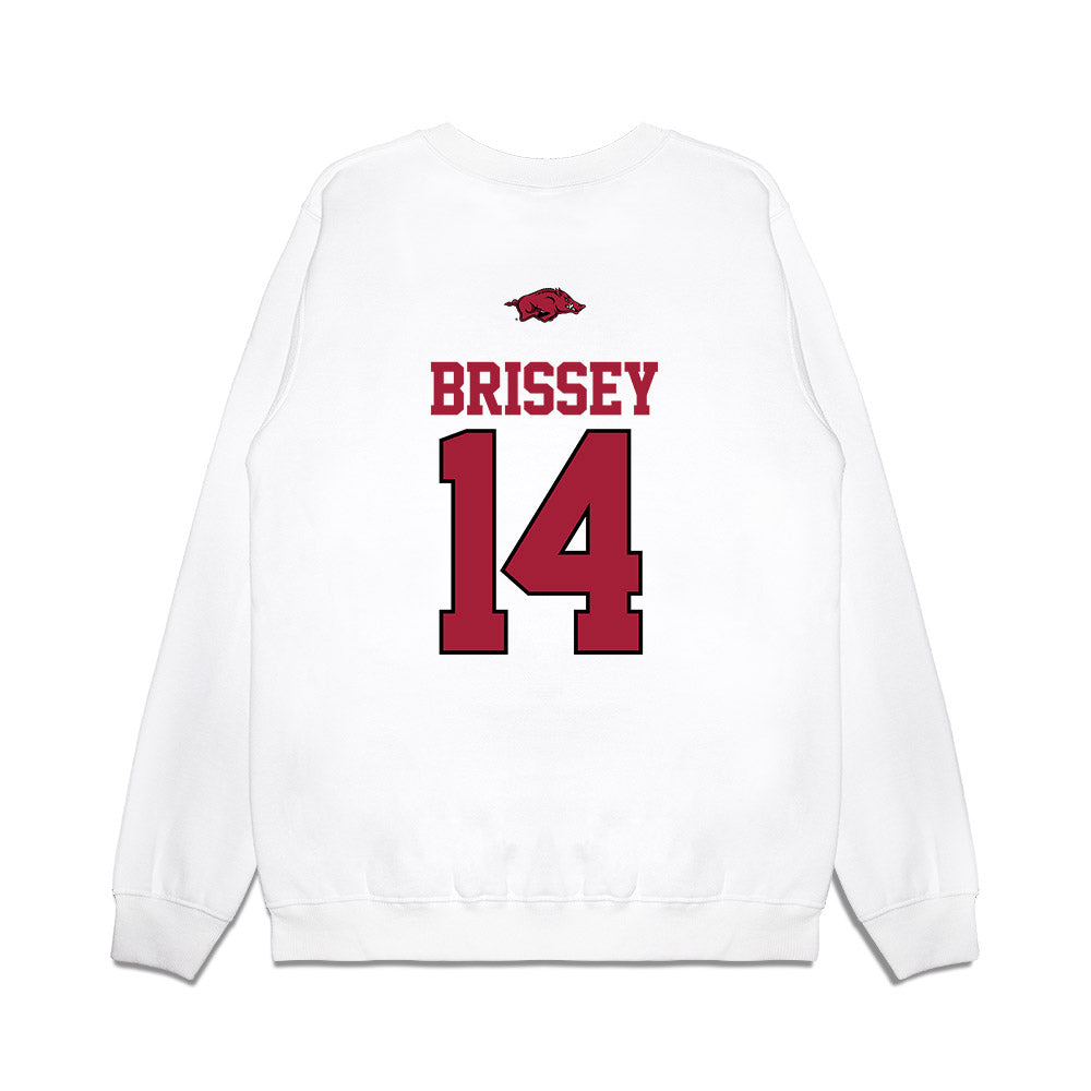 Arkansas - NCAA Baseball : Mark Brissey - USA Premium Crewneck Sweatshirt-1