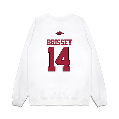 Arkansas - NCAA Baseball : Mark Brissey - USA Premium Crewneck Sweatshirt-1