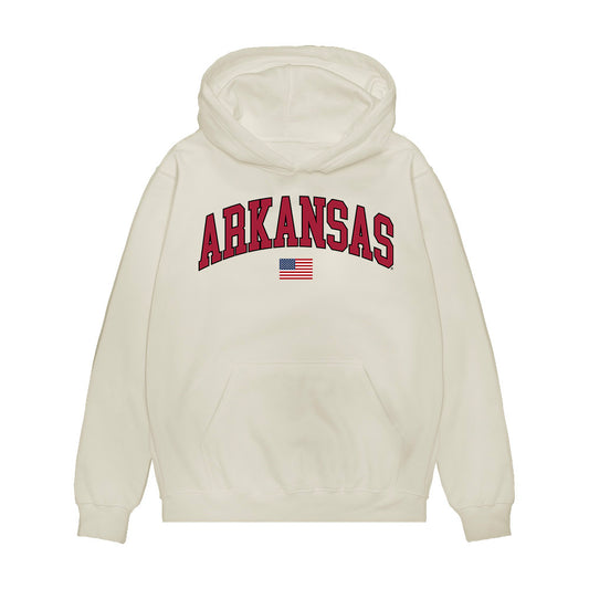Arkansas - NCAA Baseball : Nolan Souza - USA Premium Hooded Sweatshirt-0